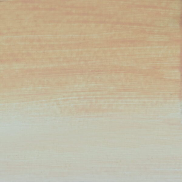 fleshtint-123_60ml