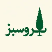 اثر زینب کلانکی - منتشر شده در ماری‌ورک